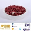 New Crop Dark Red Kidney Beans 2015 british type red bean
