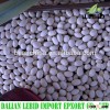 Hot Sale 2014 white beans/small white kidney beans/navy beans