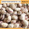 Health Foods of Speckled Kidney Beans