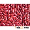 Red Kidney beans Ethiopia