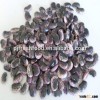 Dark speckled kidney beans
