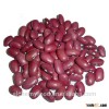 Red Kidney Beans for sale