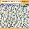 Different types white kidney beans