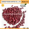 Soya beans white and red kidney beans