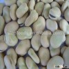 2015 high yeild best quality for Fava Beans with Vicia faba
