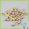 Xinjiang Round Light Speckled Kidney Beans Dubai General Trading Company