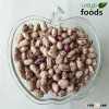 Dried Pinto Beans Bulk/ Light Speckled Kidney Beans