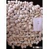 Yunnan large white kidney bean (LWKB) 45/55/65/85/120pcs/100g white bean for cannery