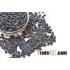 Black Matpe Beans