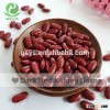 2015 crop dark red kidney beans