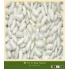 white kidney beans