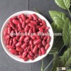 97% purity Chinese British Type Dark Red Kidney Beans Product