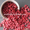 red kidney beans british type pulse