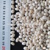 White pea beans navy white kidney beans small bean