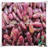 Kidney Beans Purple Speckled Type Dried Bulk Pinto beans Size 220-240pcs/100g