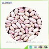 sugar beans long shape light speckled kidney beans/pinot beans