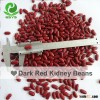 2015 New Crop dark Red Kidney Beans, high quality types Of Kidney Beans