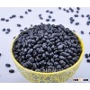 New crop Dry black kidney bean black beans for sale
