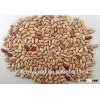 Long shape highest quality light Chinese speckled kidney beans