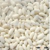 2014 new crop White kidney bean white kideny bean