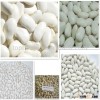 All Kinds of kidney beans pulses for sale, 2014 new crop at stock