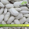 Long Shape White Kidney beans,White Alubia Beans