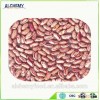 types of kidney beans, light speckled kidney beans