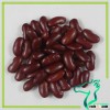 Dark Red Kidney Beans Red Lentils Nepal Beans Price
