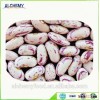 origin from China all kinds of beans