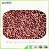Long shape light speckled kidney beans from China