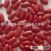 Organic British dark red kidney bean