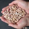 yian origin light speckled kidney beans organic pinto beans