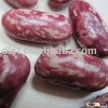 Red speckled bean