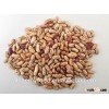 China origin best price Speckled kidney bean