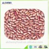 light speckled kidney beans round type and long type.