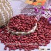 British Red Kidney Beans,Dark Red Kidney Bean