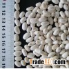 Japanese type White Kidney Beans