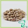 High Quality Pinto Beans Wholesale