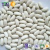 TTN bulk all kinds of kidney beans ethiopian red kidney beans for sale