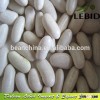 Wholesale China Alubia White Kidney Beans, Baishake Type