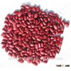 red kidney beans specification