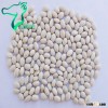 White kidney beans /Haricot beans good for recipes(baked beans) 2013 new crop