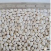 2014 New Japanese type white kidney bean haricot bean