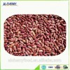 vanilla beans kidney beans from China