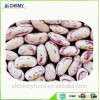 light speckled kidney beans Heilongjiang Origin