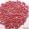 China factory produce cheapest price for Red Kidney Beans Specification