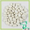Cannellini Beans/White Kdiney Beans Meidum Type