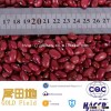 Good Small red kidney bean,HPS type