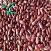 Red Speckled Sugar Beans/Purple Speckled Kidney Beans Size 220-240pcs