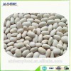 agriculture food wholesale white beans